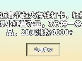 临近春节超火存钱打卡，轻松引爆小红薯流量，3分钟一条作品，20天涨粉4000+【揭秘】