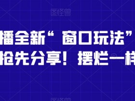 影视直播全新“窗口玩法”，特殊赛道，抢先分享！摆烂一样有钱赚【揭秘】