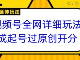 视频号全网最详细玩法，起号过原创开分成，单号日入300+【揭秘】