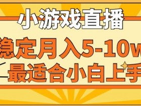 寒假新风口玩就挺秃然的月入5-10w，单日收益3000+，每天只需1小时，最适合小白上手，保姆式教学【揭秘】