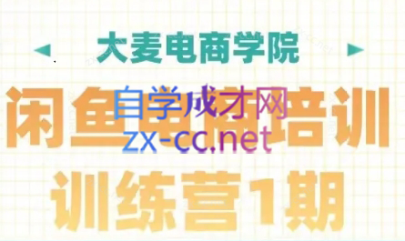 大麦电商·闲鱼电商培训训练营（第1期）