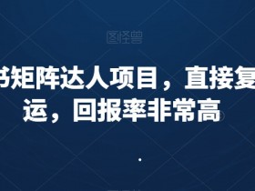 小红书矩阵达人项目，直接复制搬运，回报率非常高