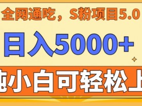 男粉项目5.0，最新野路子，纯小白可操作，有手就行，无脑照抄，纯保姆教学【揭秘】