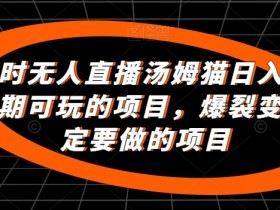 24小时无人直播汤姆猫日入2000+，长期可玩的项目，爆裂变现，一定要做的项目【揭秘】