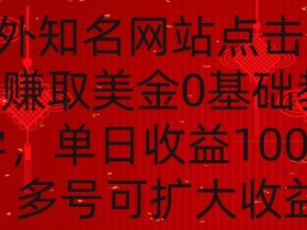 国外点击广告赚取美金0基础教学，单个广告0.01-0.03美金，每个号每天可以点200+广告【揭秘】