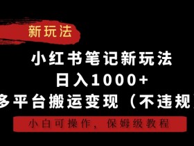 小红书笔记新玩法，日入1000+，多平台搬运变现（不违规），小白可操作，保姆级教程【揭秘】