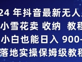 2024年抖音最新无人直播小雪花卖收纳教程，小白也能日入900+落地实操保姆级教程【揭秘】