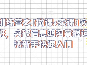 卖课训练营之【做课+卖课】实操与运营班，突破信息鸿沟掌握运营方法新手快速入门