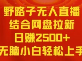野路子无人直播结合网盘拉新，日赚2500+，小白无脑轻松上手【揭秘】