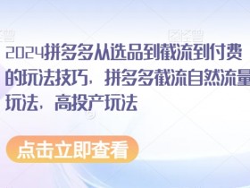 2024拼多多从选品到截流到付费的玩法技巧，拼多多截流自然流量玩法，高投产玩法
