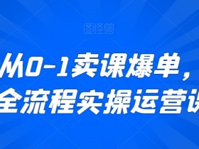新手从0-1卖课爆单，直播全流程实操运营课