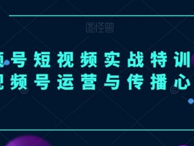 视频号短视频实战特训营，视频号运营与传播心法