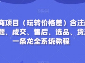 闲鱼电商项目（玩转价格差）含注册、养号、标题、成交、售后、选品、货源等，一条龙全系统教程