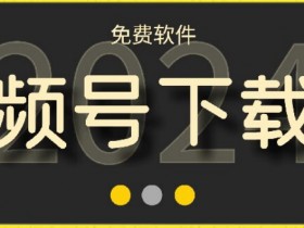 视频号高清免费下载器【支持window+mac系统】，全平台资源下载器
