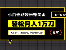 谷歌看广告撸美金2.0，无脑自动运行，多号操作，月入1万刀【揭秘】