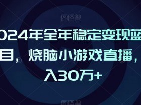 2024年全年稳定变现蓝海项目，烧脑小游戏直播，月入30万+【揭秘】
