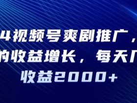 2024视频号爽剧推广，肉眼可见的收益增长，每天几分钟收益2000+【揭秘】