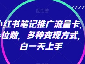 靠小红书笔记推广流量卡，日入4位数，多种变现方式，小白一天上手