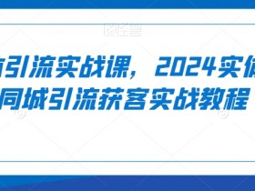 实体引流实战课，2024实体店同城引流获客实战教程
