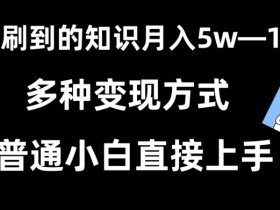 抖音刷到的知识，每天只需2小时，日入2000+，暴力变现，普通小白直接上手【揭秘】