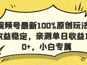 视频号最新100%原创玩法，收益稳定，亲测单日收益1000+，小白专属【揭秘】