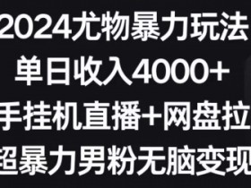 2024尤物暴力玩法，单日收入4000+，快手自动运行直播+网盘拉新，超暴力男粉无脑变现【揭秘】