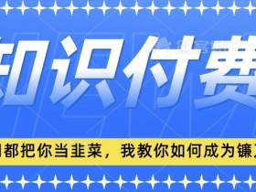 2024最新知识付费项目，小白也能轻松入局，全网都在教你做项目，我教你做镰刀【揭秘】