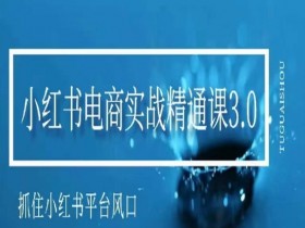 小红书电商实战精通课3.0，抓住小红书平台的风口，不错过有一个赚钱的机会