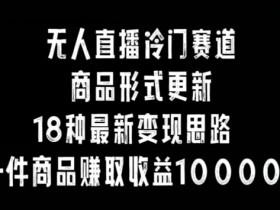 无人直播冷门赛道，商品形式更新，18种变现思路，一件商品赚取收益10000+【揭秘】
