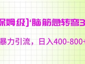 保姆级脑筋急转弯3.0，暴力引流，日入400-800+【揭秘】