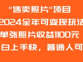 2024全年可变现玩法”售卖照片”单张照片收益1100元小白上手快，普通人可做【揭秘】