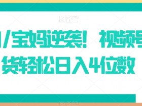 小白/宝妈逆袭！视频号带货轻松日入4位数【揭秘】