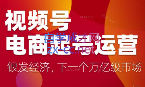 陈大黑牛·视频号电商起号运营课（更新24年7月）