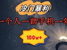 暴利冷门赛道，一单268，一个人一部手机一年100w【揭秘】