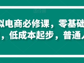 淘系虚拟电商必修课，零基础搞定原始积累，低成本起步，普通人可干