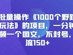 快手批量操作《1000个野路子信息差玩法》的项目，一分钟做一个视频一个图文，不封号，日引流150+【揭秘】