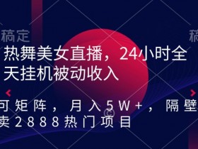 热舞美女直播，24小时全天自动运行被动收入，可矩阵，月入5W+，隔壁卖2888热门项目【揭秘】