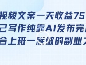 靠提取视频文案一天收益751块，适合上班一族做的副业【揭秘】