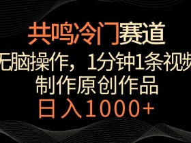 共鸣冷门赛道，无脑操作，一分钟一条视频，日入1000+【揭秘】