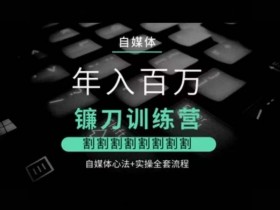 自媒体年入百万镰刀训练营，割割割割割割割割，自媒体心法+实操全套流程