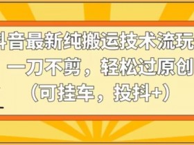 靠电商平台无限撸虚拟资源赚钱，实现日入200+小白也能轻松掌控【仅揭秘】