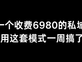 分享一个外面卖6980的私域项目三个人用这套模式一周搞了6万多【揭秘】