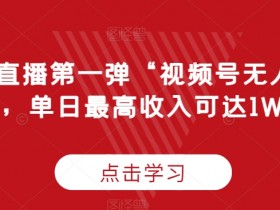 “无人直播第一弹“视频号无人直播2.0，单日最高收入可达1W+【揭秘】