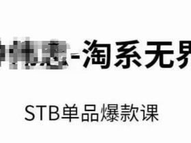 淘系无界STB单品爆款课（2024），付费带动免费的核心逻辑，万相台无界关键词推广/精准人群的核心