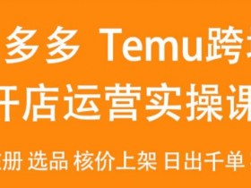 2024Temu最新玩法，Temu跨境开店运营实操课，开店注册/选品/核价上架/日出千单实战课