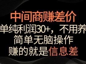 中间商赚差价，一单纯利润30+，简单无脑操作，赚的就是信息差，轻轻松松日入1000+【揭秘】