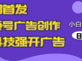 全网首发蝴蝶号广告创作，用AI做视频，黑科技强开广告，小白跟着做，日入1000+【揭秘】