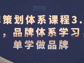 品牌策划体系课程3.0升级版，品牌体系学习，简单学做品牌