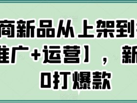 电商新品从上架到打爆【推广+运营】，新手从0打爆款