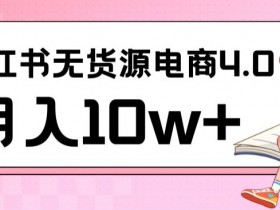 小红书新电商实战，无货源实操从0到1月入10w+联合抖音放大收益【揭秘】